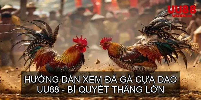 da ga cua dao uu88 68d74da644f4b