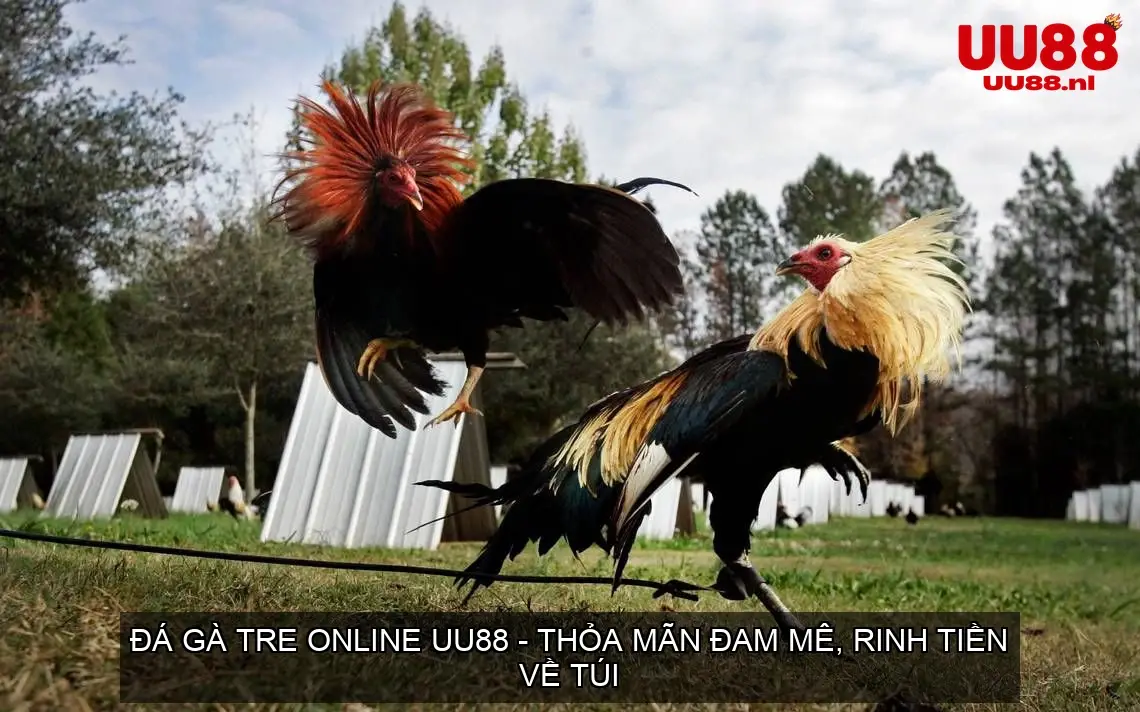 da ga tre online uu88 68d74da26800b