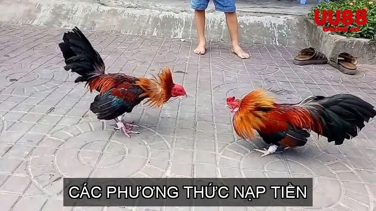 Các Phương Thức Nạp Tiền