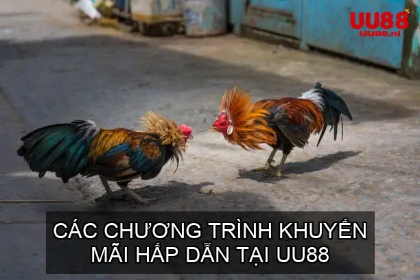 Các Chương Trình Khuyến Mãi Hấp Dẫn Tại UU88
