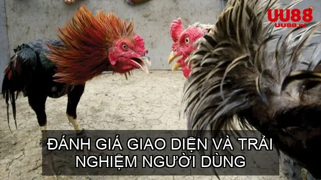 Đánh Giá Giao Diện và Trải Nghiệm Người Dùng