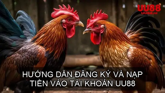 Hướng Dẫn Đăng Ký và Nạp Tiền Vào Tài Khoản UU88