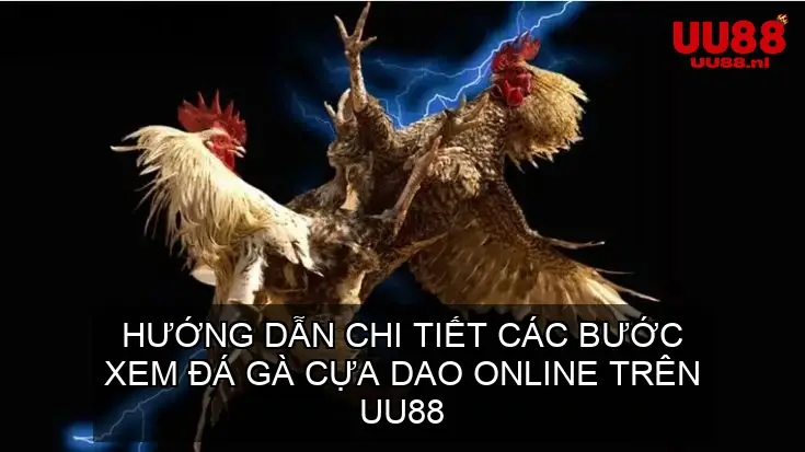Hướng Dẫn Chi Tiết Các Bước Xem Đá Gà Cựa Dao Online Trên UU88