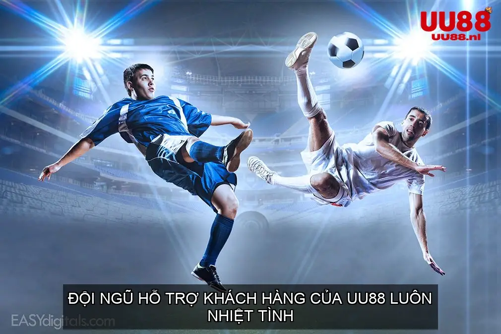 Dịch Vụ Khách Hàng Chuyên Nghiệp