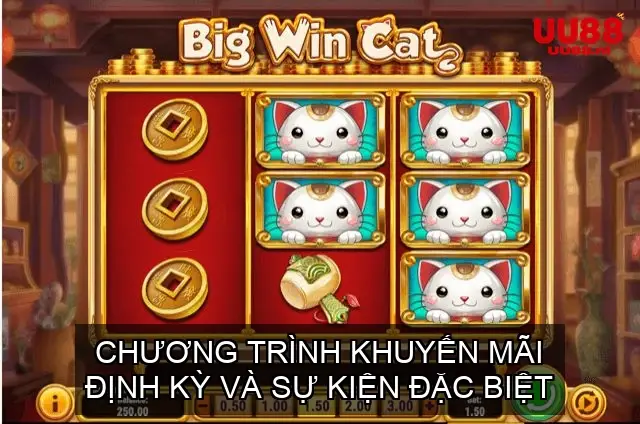 Chương trình khuyến mãi định kỳ và sự kiện đặc biệt